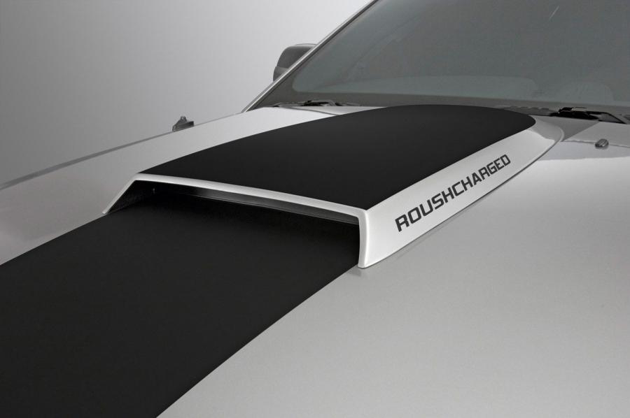 Ford Mustang 428R by Roush 2008 года  (фото 6 из 15)